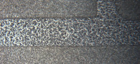 iPhone microscopio