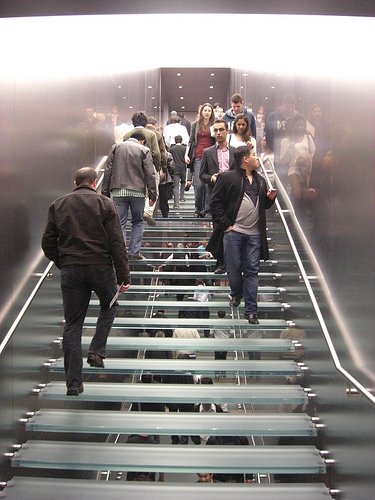 apple store sydney 4