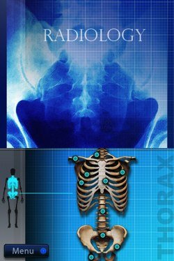 blue radiography