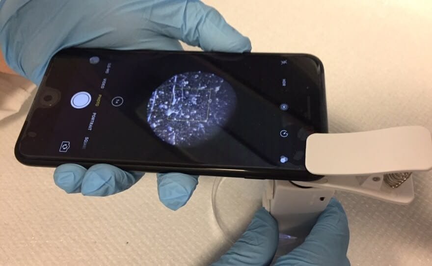 Bacterial Orchestra, gli iPhone si organizzano in un'orchestra 1 Bacterial Orchestra