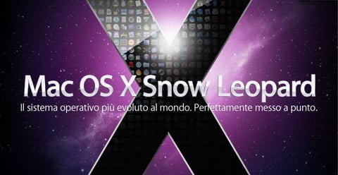 snow-leopard snow-leopard