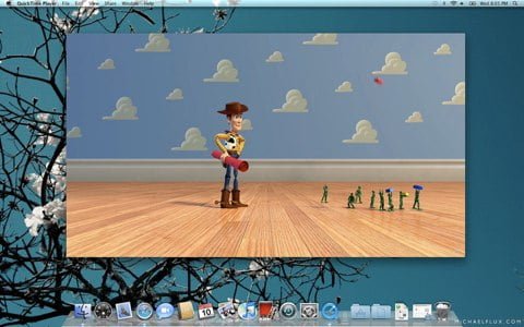 Sondaggio: passerai a Snow Leopard? 1 QuickTime X