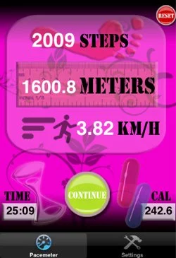 Pacemeter