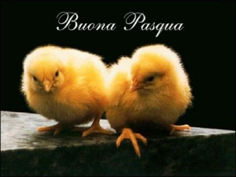 pasqua