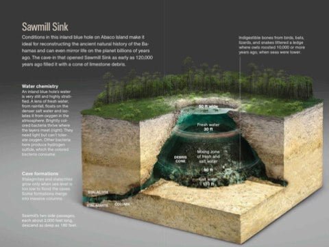 National Geographic National Geographic