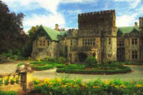 PhotoArtista Oil PhotoArtista Oil