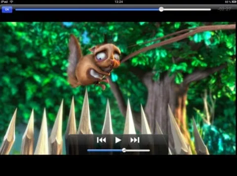 VLC Player iPad VLC player