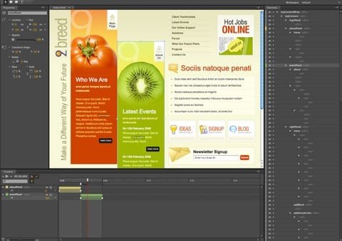Adobe Edge