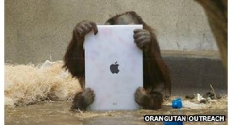 Orango usa iPad fondi in beneficenza
