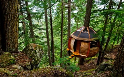 HemLoft Secret Treehouse