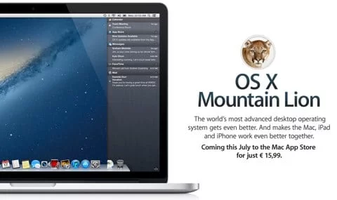 Mountain Lion