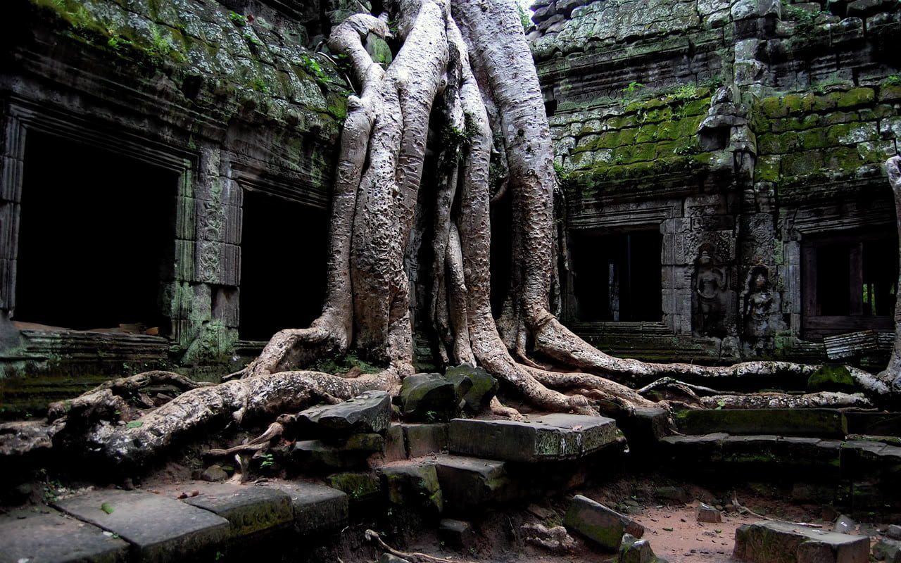 AmazingTaProhm