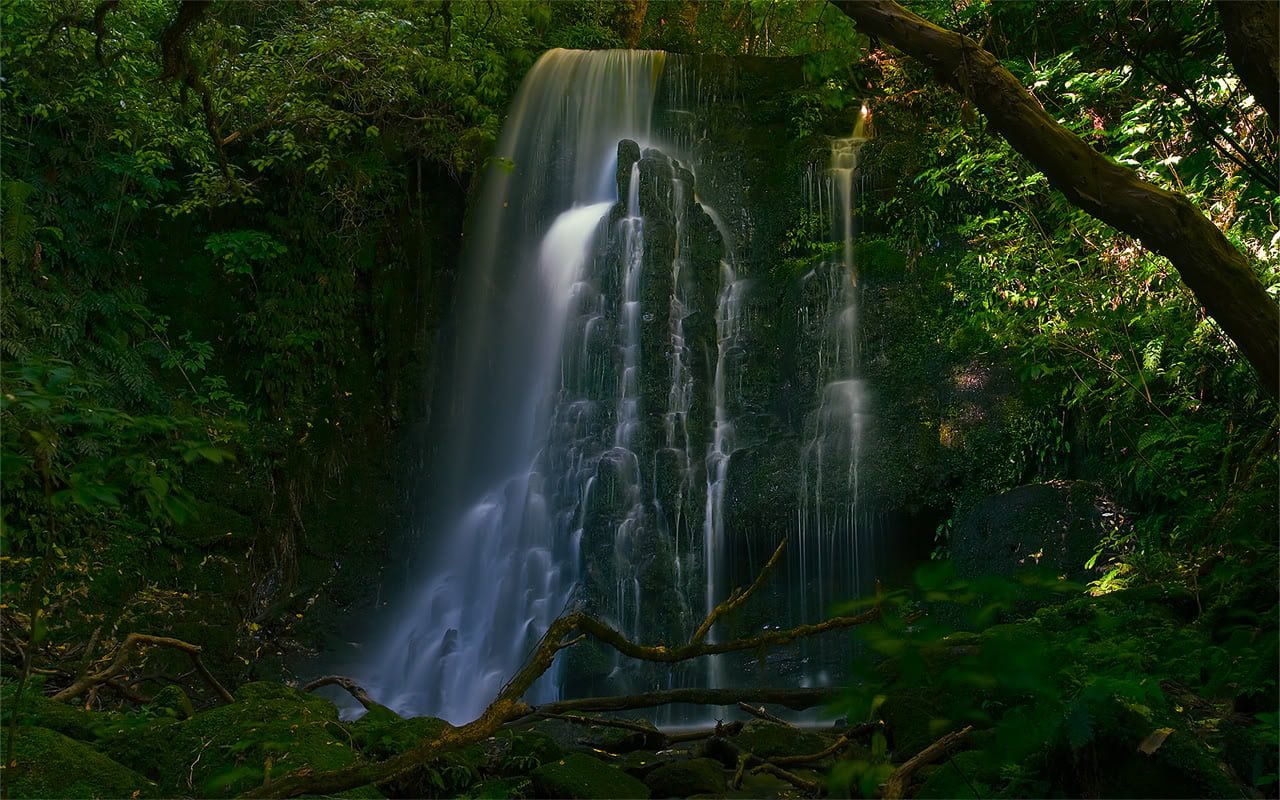 NewZealandMataiFalls