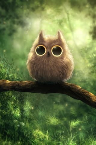 Owl