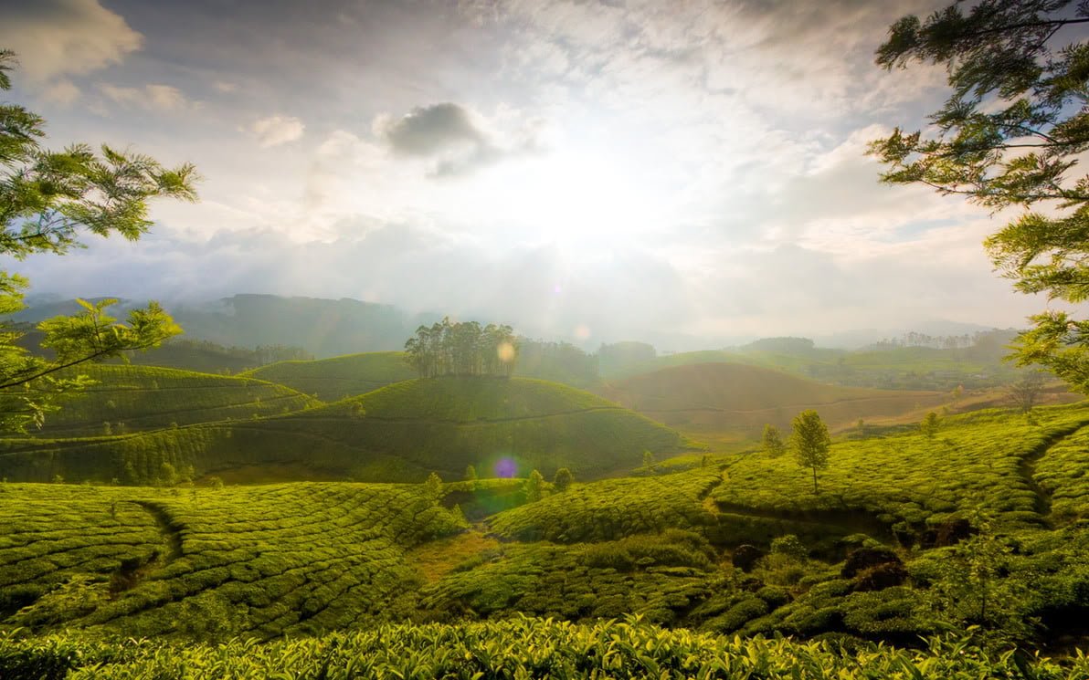 TheHillsofMunnar