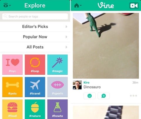 Vine