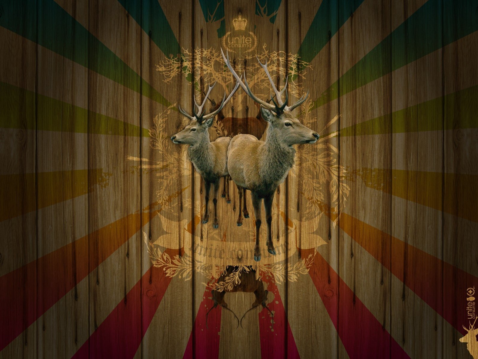 dont rush me baby 1600