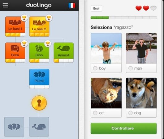 Impara l'inglese con Duolingo