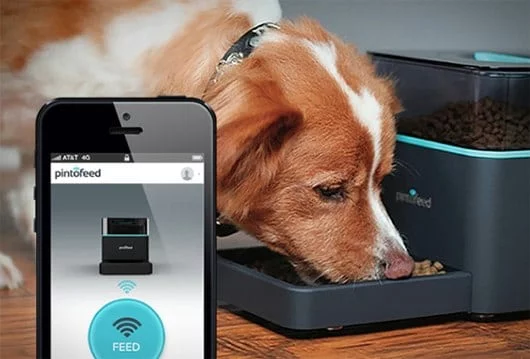PintoFeed, il dispositivo per dare da mangiare al cane o al gatto con l'iPhone 1 PintoFeed