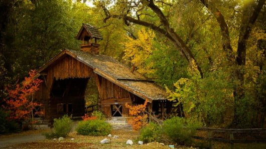 Fall