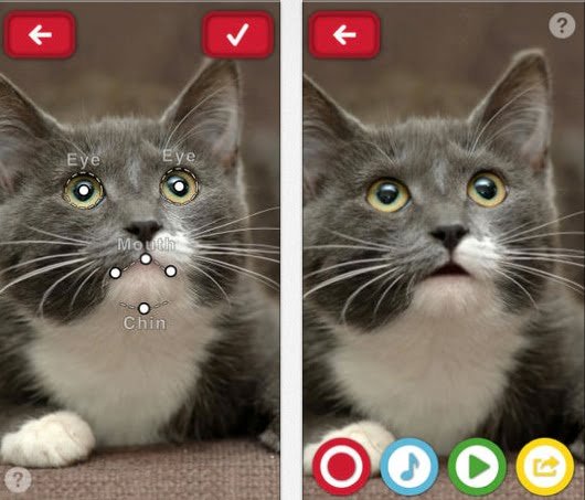 Il mio animale parlante