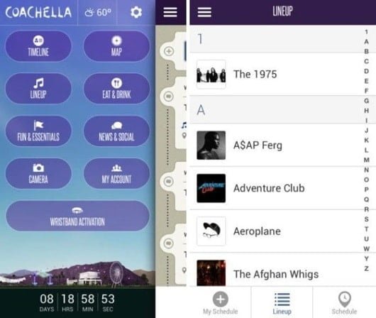 Coachella Music Festival