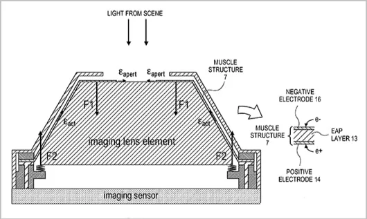 Apple si ispira ai muscoli per la nuova fotocamera per iPhone 1 brevetto fotocamera muscolo
