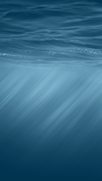 iOS 8