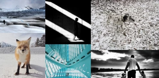 iPhone Photography Awards: pubblicata la galleria dei vincitori 1 iPhone Photography Awards
