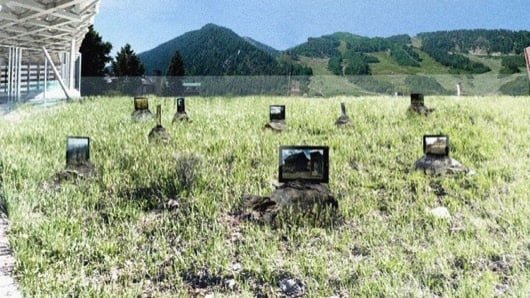 L'installazione artistica delle tartarughe con gli iPad non piace agli animalisti 1 tartarughe iPad