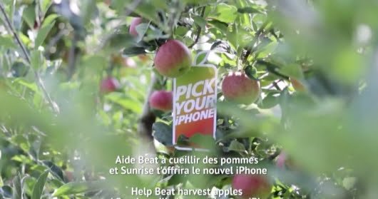 Pick Your iPhone