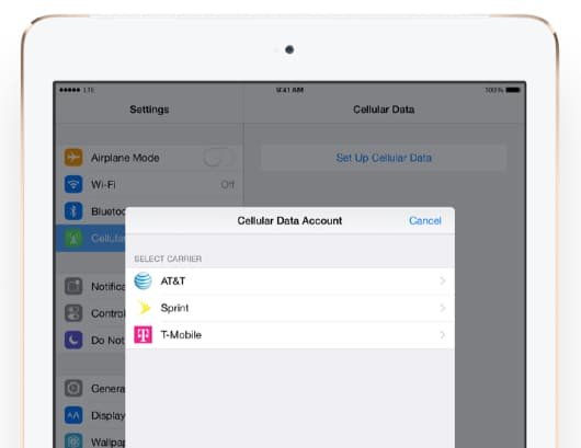 Apple scelta operatore