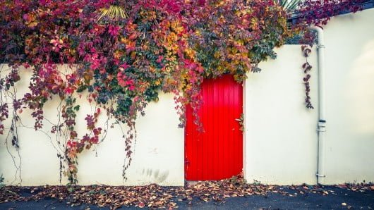 Red Door Fall Wall