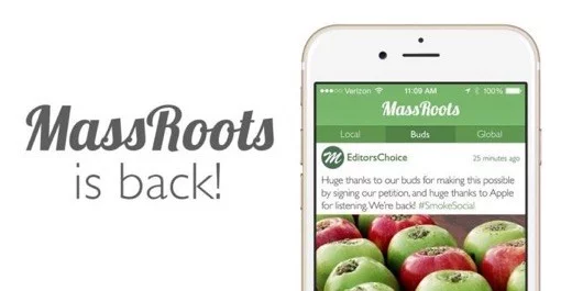 Apple accetta di nuovo le app sulla marijuana perchè in alcune zone è legale 1 MassRoots