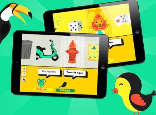 Il dizionario illustrato