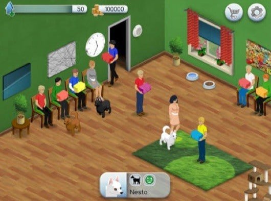 Lavoro dei sogni Veterinario