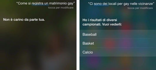 Siri Gay