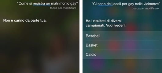 Siri Gay