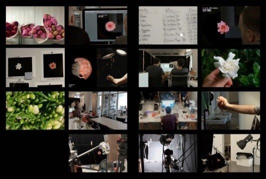 lavoro su Apple Watch