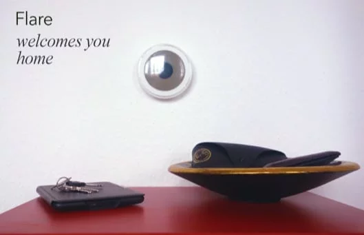 BuddyGuard, l'occhio vigile nella casa da usare con l'iPhone 1 BuddyGuard