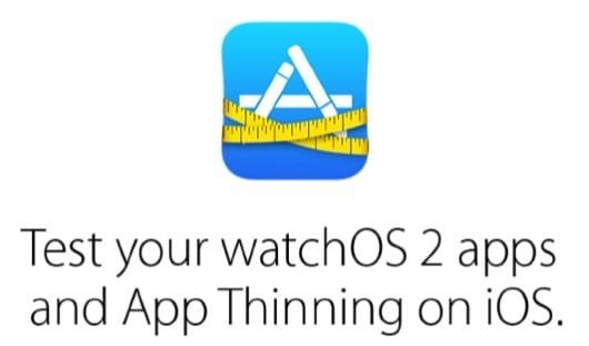 TestFlight Watch OS 2