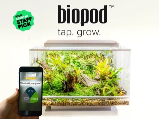 Biopod, il terraio gestito dall'iPhone 1 Biopod