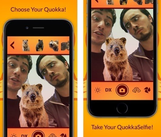 QuokkaSelfie