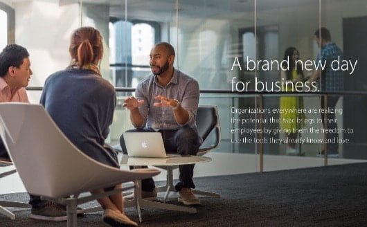 Grafica pagina business