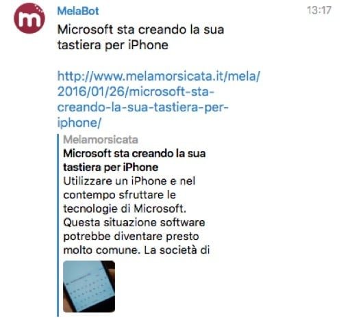 MelaBot, il robot di Telegram che ti porta le notizie di Melamorsicata 1 MelaBot