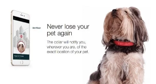 Kyon, il collare intelligente per cani gestito dall'iPhone 1 Kyon