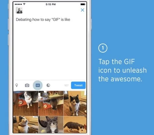 Twitter cerca di risollevare le sue sorti con le GIF 1 Twitter GIF