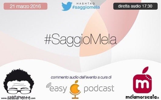 Saggiomela 03 16 530x331 2