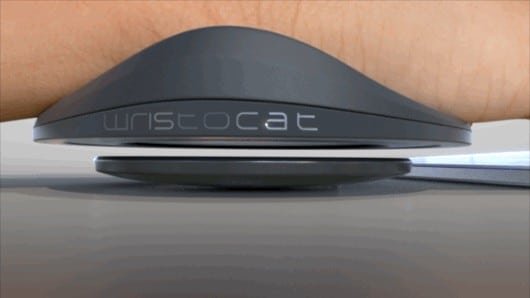 Wristocat 530x298 1