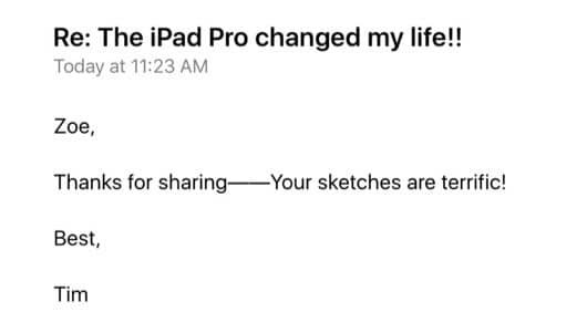 risposta Tim Cook iPad Pro